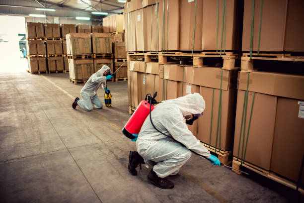 Flea Control Services in Vass, NC