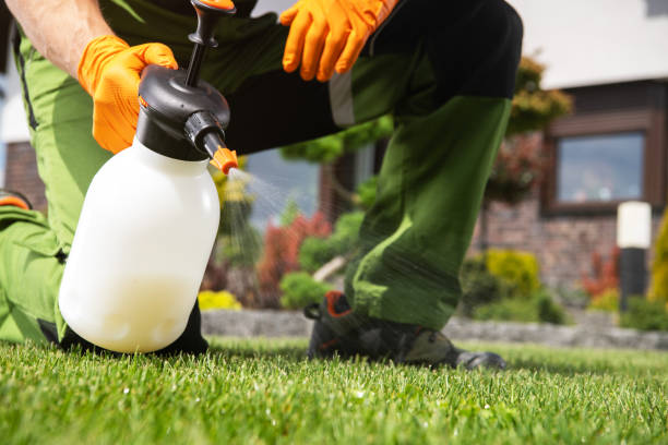 Pest Prevention Services in Vass, NC