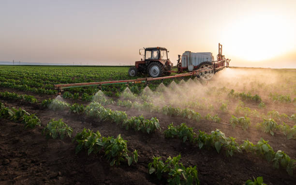 Reliable Vass, NC Pest Control Solutions