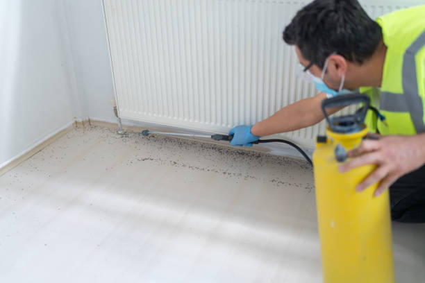 Best Termite Control Services  in Vass, NC
